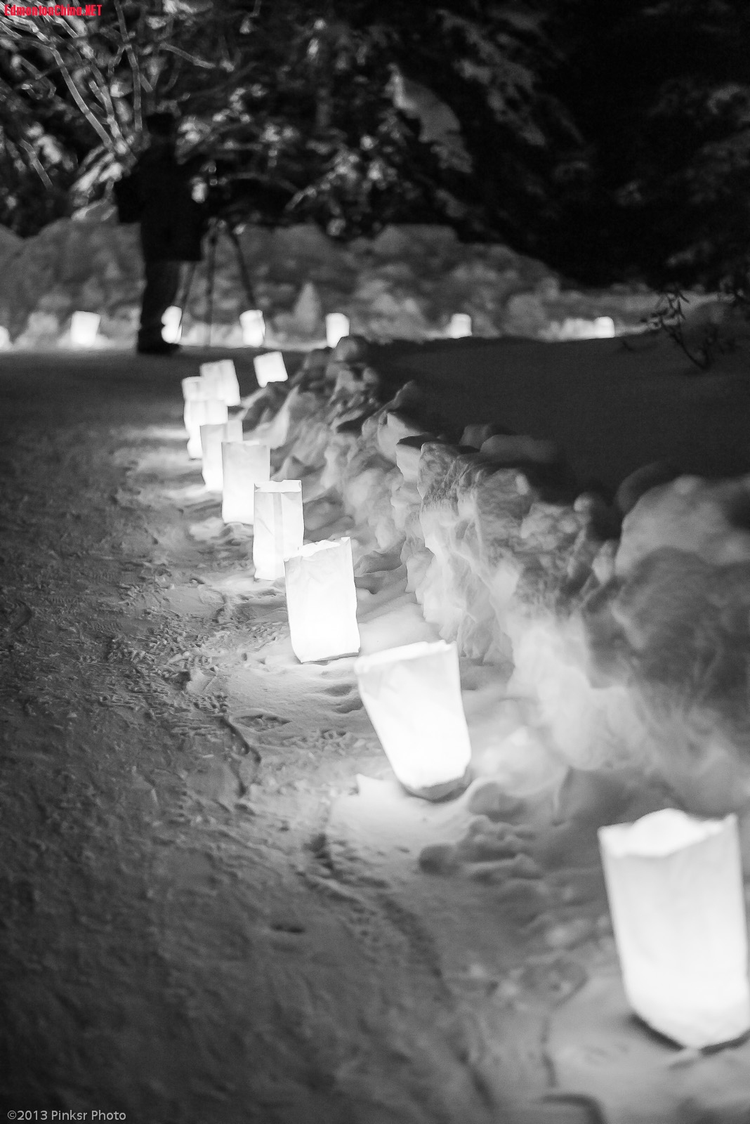 2013.Luminaria-9.jpg