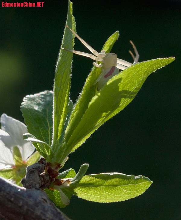 IMGP0250-small-web.jpg