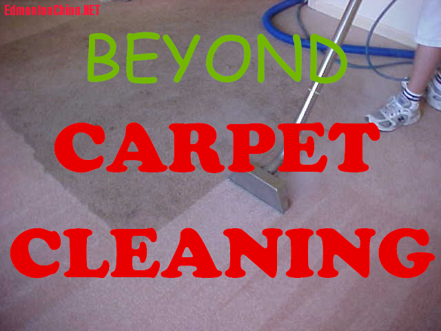 beyondcarpet.png