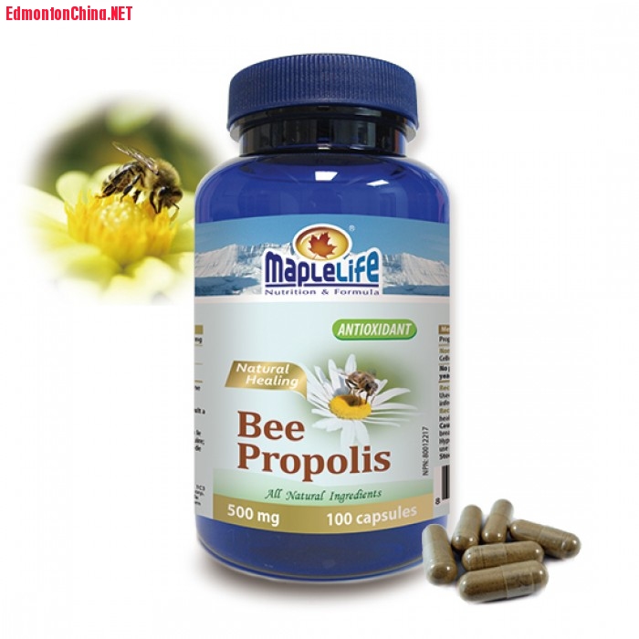 7_brazil-green-bee-propolis_maplelife__background_webuse2.jpg