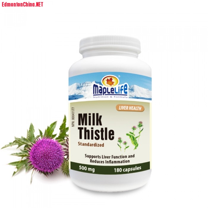 40_milk_thistle.jpg