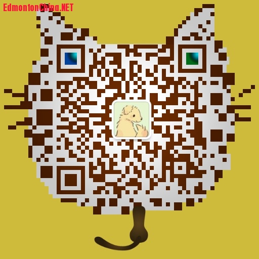 mmqrcode1602416637160.png